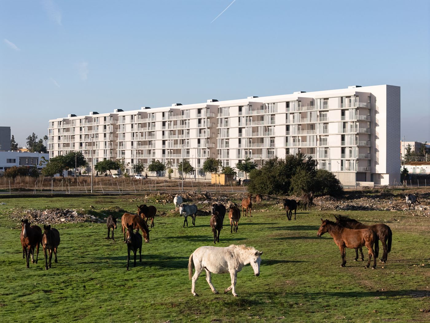 125 viviendas VPO Pitamo Sur, Sevilla